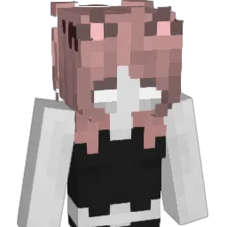 toqius_ Minecraft avatar bust