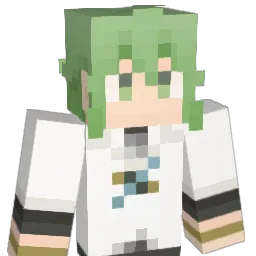 tora_soul Minecraft avatar bust