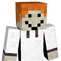toraaaaaan Minecraft avatar bust