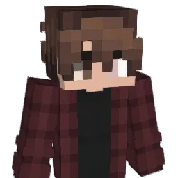 toret564's Minecraft skin