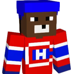 tornetz Minecraft avatar bust