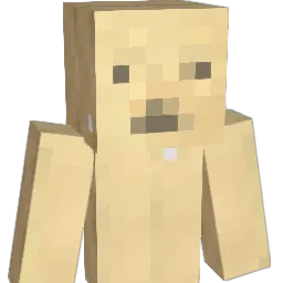 touko26 Minecraft avatar bust