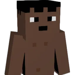 toxichannes18 Minecraft avatar bust