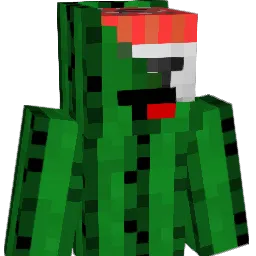 toxyk06 Minecraft avatar bust