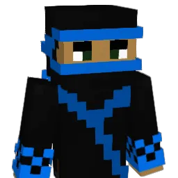 tpa_999 Minecraft avatar bust