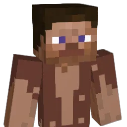 tr_bjj Minecraft avatar bust