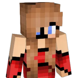 tracy1999 Minecraft avatar bust