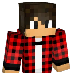 tran167 Minecraft avatar bust