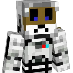 treej0804's Minecraft skin