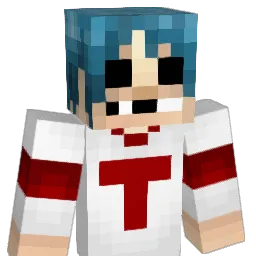triikii Minecraft avatar bust