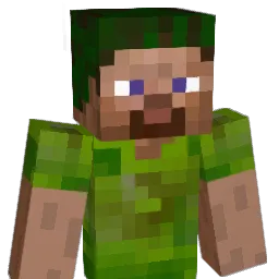 tritan67 Minecraft avatar bust