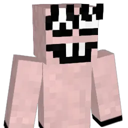 trunkyzeb Minecraft avatar bust