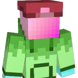 tt556 Minecraft avatar bust
