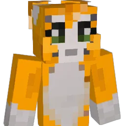tt_9's Minecraft skin