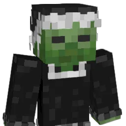 tterri Minecraft avatar bust