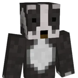tthirdmember's Minecraft skin