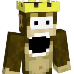 tty13 Minecraft avatar bust