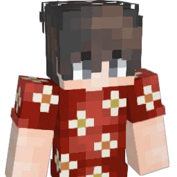 tu5k Minecraft avatar bust