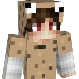 tuengmc Minecraft avatar bust