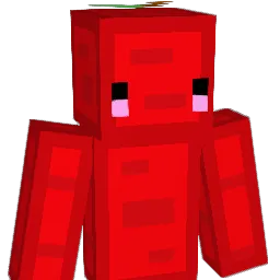 tugglebear14 Minecraft avatar bust