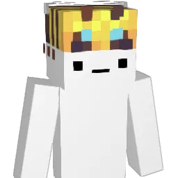 turly00 Minecraft avatar bust