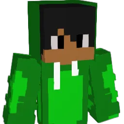 turtle2336's Minecraft skin