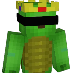 turtle_main03