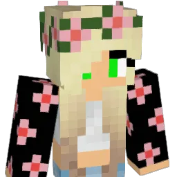 turtlerox11's Minecraft skin