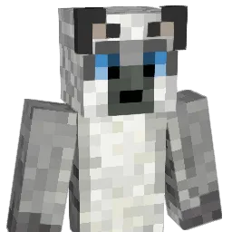 twan45 Minecraft avatar bust