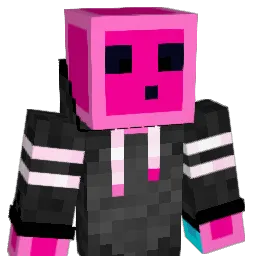 twank665550 Minecraft avatar bust