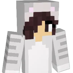 twinboys2003 Minecraft avatar bust