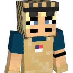 twinninja