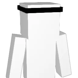 twotoi Minecraft avatar bust