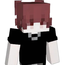 tx_john's Minecraft skin