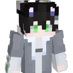 ty56y5 Minecraft avatar bust