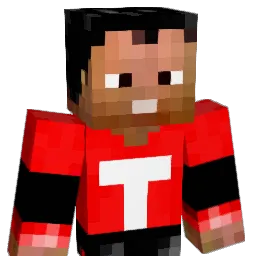 tylester2013 Minecraft avatar bust