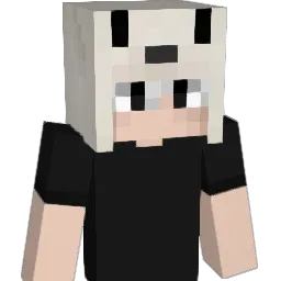 typeshjjt Minecraft avatar bust