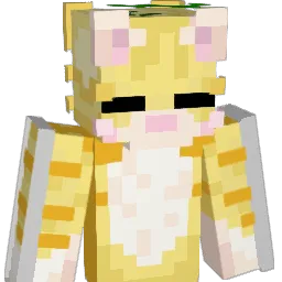 tyr6789 Minecraft avatar bust