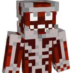 tzelee357 Minecraft avatar bust