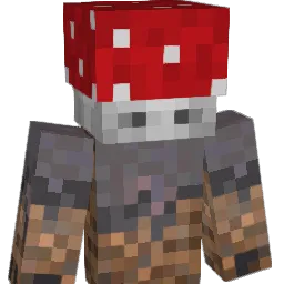 udum_08 Minecraft avatar bust