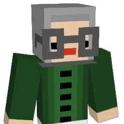 uic060 Minecraft avatar bust