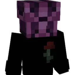ujc Minecraft avatar bust