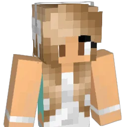 unicorn4938 Minecraft avatar bust