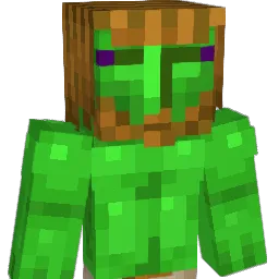 unicornlunch Minecraft avatar bust