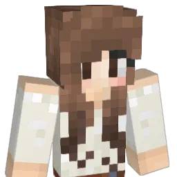 unicorns212 Minecraft avatar bust