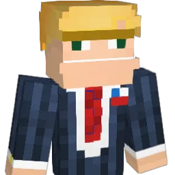unit9495 Minecraft avatar bust
