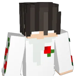 unknownhh Minecraft avatar bust