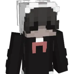 unknqown Minecraft avatar bust