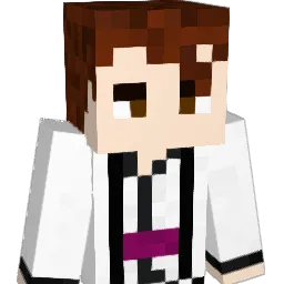 unlucky293 Minecraft avatar bust