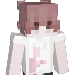 unpolvo's Minecraft skin